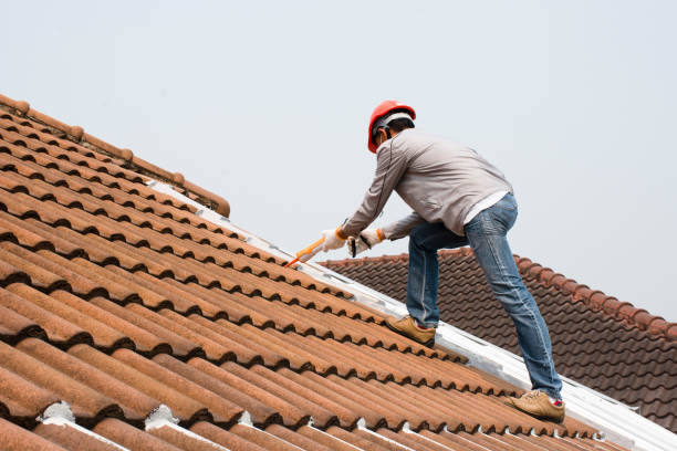 Best Metal Roofing Installation  in Wilmington, NC