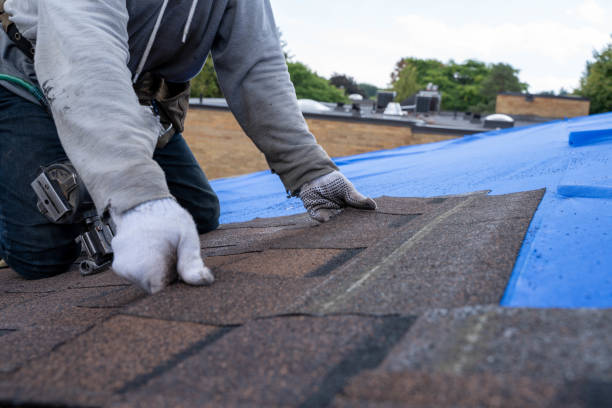 Best Chimney Flashing Repair  in Wilmington, NC